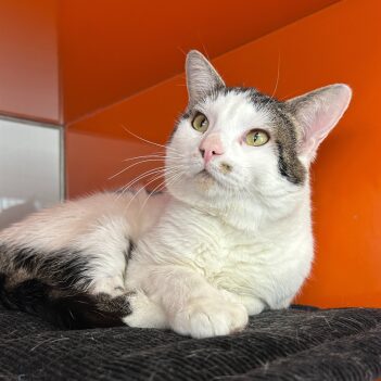 Fundraiser Profile Image