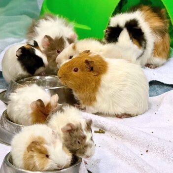 Fundraiser Profile Image