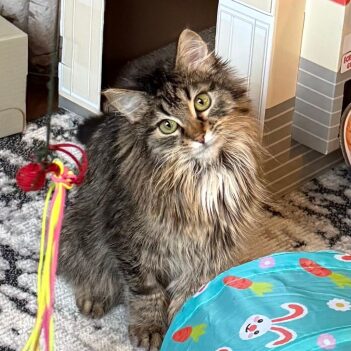 Fundraiser Profile Image