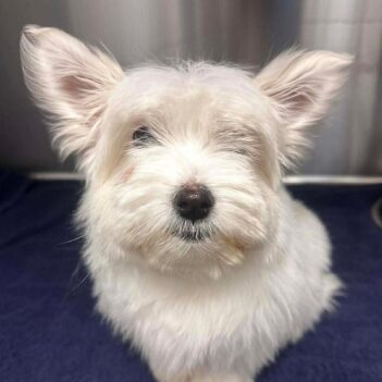 Fundraiser Profile Image