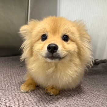 Fundraiser Profile Image