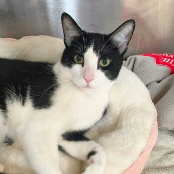 Fundraiser Profile Image