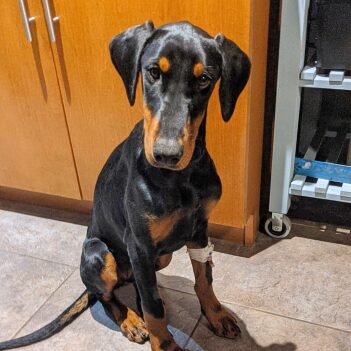 Fundraiser Profile Image