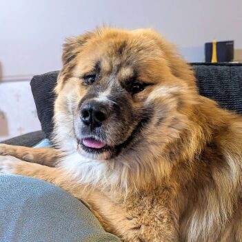 Fundraiser Profile Image