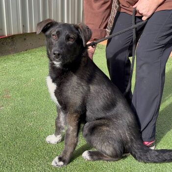 Fundraiser Profile Image