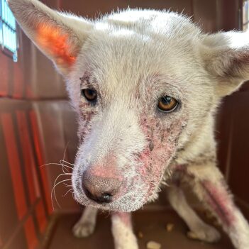 Fundraiser Profile Image