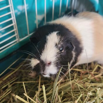 Fundraiser Profile Image