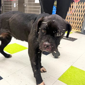 Fundraiser Profile Image