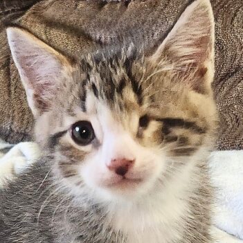 Fundraiser Profile Image