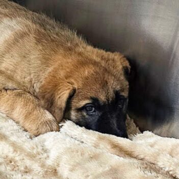 Fundraiser Profile Image