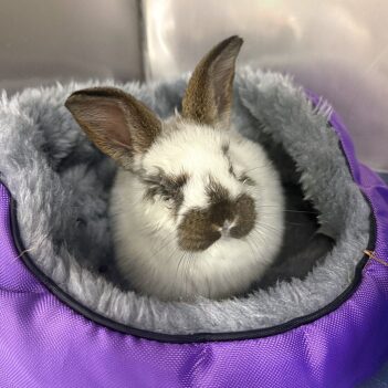 Fundraiser Profile Image