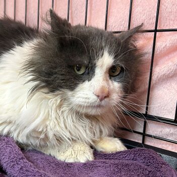 Fundraiser Profile Image