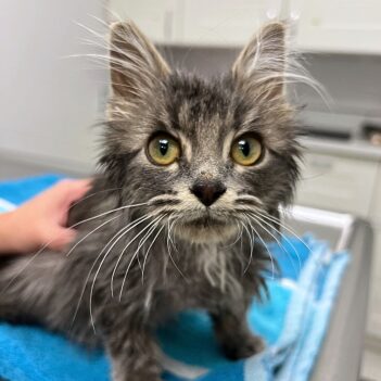 Fundraiser Profile Image