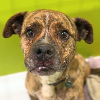 Fundraiser Profile Image