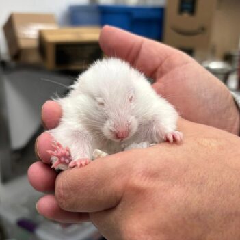 Fundraiser Profile Image